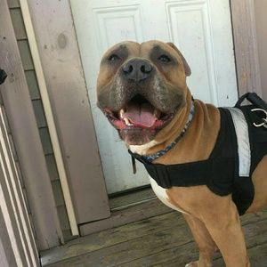 Meet your Posher, Joanna